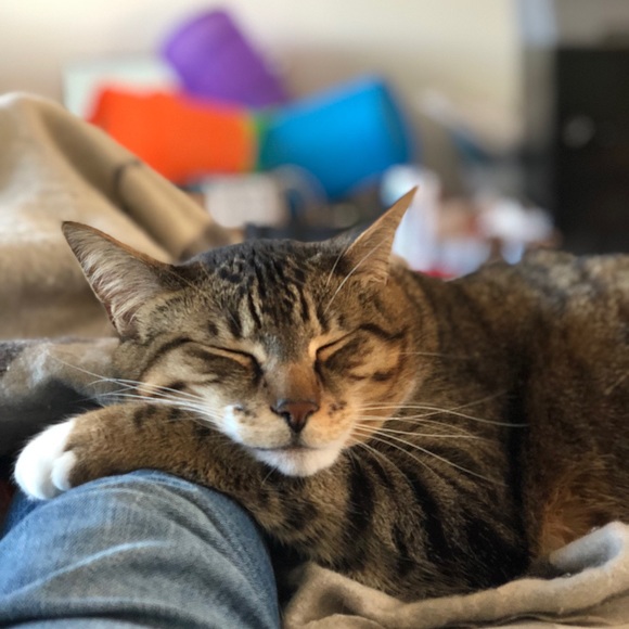 Meet your Posher, Jerusha - Picture 3 of 4